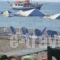 Aphrodite Beach Hotel_best deals_Hotel_Aegean Islands_Lesvos_Polihnit's
