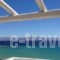 Blue Dolphin_accommodation_in_Hotel_Cyclades Islands_Antiparos_Antiparos Chora