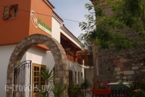 Natura_lowest prices_in_Hotel_Aegean Islands_Lesvos_Polihnitos