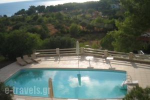 Belvista Luxury Apartments_best deals_Apartment_Ionian Islands_Kefalonia_Argostoli
