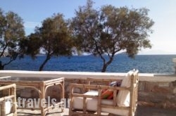 Anemelia Studios_s __1