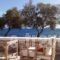 Anemelia Studios_accommodation_in_Hotel_Cyclades Islands_Syros_Posidonia