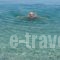 Manto Studios_best deals_Hotel_Peloponesse_Arcadia_Kosmas