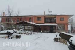 Ziakas Rooms in Perivolaki, Grevena, Macedonia