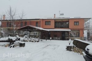 Ziakas Rooms_accommodation_in_Room_Macedonia_Grevena_Perivolaki