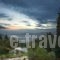 Amalia Hotel Delphi_best deals_Hotel_Central Greece_Fokida_Delfi