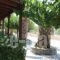 Stefanie Studios_best deals_Hotel_Piraeus Islands - Trizonia_Aigina_Aigina Chora