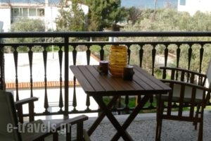 Sotiras Rooms_best deals_Room_Aegean Islands_Thasos_Skala of Sotiros