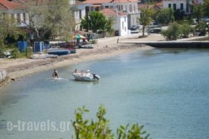 Zmas Studio_travel_packages_in_Central Greece_Evia_Istiea