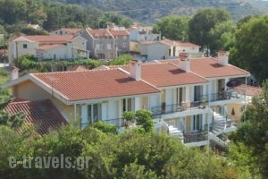 Odyssia Apartments_holidays_in_Apartment_Ionian Islands_Zakinthos_Zakinthos Rest Areas