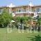 Odyssia Apartments_accommodation_in_Apartment_Ionian Islands_Zakinthos_Zakinthos Rest Areas