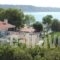 Odyssia Apartments_best deals_Apartment_Ionian Islands_Zakinthos_Zakinthos Rest Areas