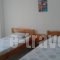 Maria Apartments_travel_packages_in_Macedonia_Pieria_Paralia Skotinas