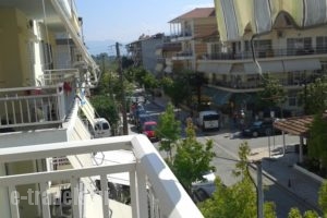 Maria Apartments_best prices_in_Apartment_Macedonia_Pieria_Paralia Skotinas