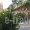 Villa Dimosthenis_best deals_Villa_Crete_Chania_Kolympari