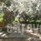 Gerolakos Villas_lowest prices_in_Villa_Crete_Rethymnon_Rethymnon City