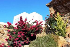 RockyMansion_lowest prices_in_Hotel_Cyclades Islands_Mykonos_Mykonos Chora