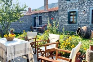 Artemis Traditional Hotel_holidays_in_Hotel_Aegean Islands_Lesvos_Lesvos Rest Areas