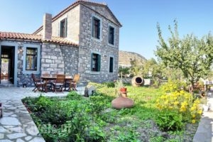 Artemis Traditional Hotel_accommodation_in_Hotel_Aegean Islands_Lesvos_Lesvos Rest Areas