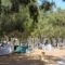 Camping Kea_best deals_Hotel_Cyclades Islands_Kea_Ioulis