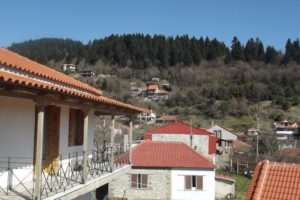 Hotel Elatofilito_accommodation_in_Hotel_Epirus_Arta_Arta City