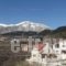 Hotel Elatofilito_best deals_Hotel_Epirus_Arta_Arta City