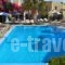 Argo Hotel_travel_packages_in_Cyclades Islands_Sandorini_Sandorini Chora