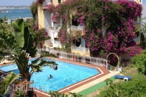 Iliostasi Beach Apartments_accommodation_in_Apartment_Crete_Heraklion_Gouves