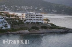 Hotel Demmy's_s __1