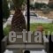 Erietta Studios_best deals_Hotel_Ionian Islands_Kefalonia_Kefalonia'st Areas