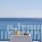 Mykonos Kosmoplaz Beach Resort Hotel_best deals_Hotel_Cyclades Islands_Mykonos_Platys Gialos