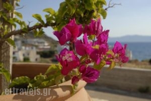 Pantonia Apartments_best prices_in_Apartment_Piraeus islands - Trizonia_Kithira_Kithira Chora