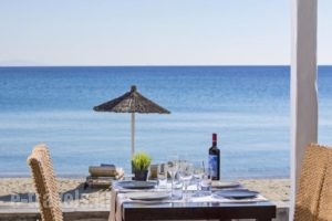 Mykonos Kosmoplaz Beach Resort Hotel_travel_packages_in_Cyclades Islands_Mykonos_Platys Gialos