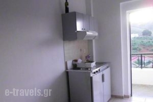 Pinelopi Apartments_best deals_Apartment_Crete_Chania_Vryses Apokoronas