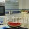 Danae Villas_best prices_in_Villa___