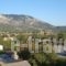 Roula Apartments_best prices_in_Apartment_Ionian Islands_Kefalonia_Kefalonia'st Areas