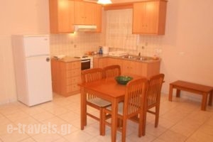 Roula Apartments_best deals_Apartment_Ionian Islands_Kefalonia_Kefalonia'st Areas