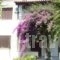 Hotel Elytis_accommodation_in_Hotel_Thessaly_Magnesia_Pinakates