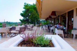 Plotini Hotel_best deals_Hotel_Thraki_Evros_Didimoticho