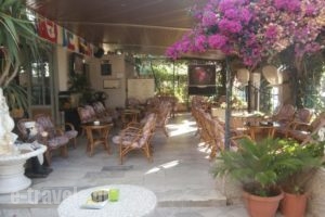 Harry's Bar & Apartments 2_lowest prices_in_Apartment_Ionian Islands_Corfu_Roda