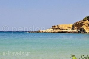 Pension'Sotiria_holidays_in_Hotel_Aegean Islands_Thasos_Thasos Chora