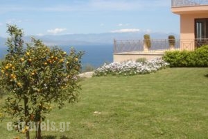 Hotel Theasi_holidays_in_Hotel_Peloponesse_Achaia_Diakopto