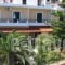 Pension Gioula_accommodation_in_Hotel_Sporades Islands_Alonnisos_Patitiri