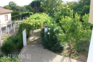Socrates Studios & Apartments_travel_packages_in_Ionian Islands_Corfu_Aghios Stefanos