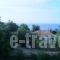 Mirsini Apartments_lowest prices_in_Apartment___