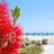 Sunrise Hotel And Suites_best prices_in_Hotel_Cyclades Islands_Mykonos_Mykonos ora