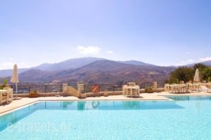 Studio Olive Lemon-Morfi Village_accommodation_in_Hotel_Crete_Chania_Akrotiri