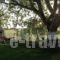 7Syn7_holidays_in_Hotel_Central Greece_Evia_Pefki