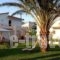 7Syn7_accommodation_in_Hotel_Central Greece_Evia_Pefki