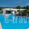 Musses_accommodation_in_Hotel_Central Greece_Evia_Artemisio